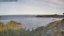 ./images/calvert/foggy-cove/20260425/foggy-cove20260425_074502M.jpg