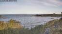 ./images/calvert/foggy-cove/20260425/foggy-cove20260425_075001M.jpg