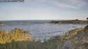 ./images/calvert/foggy-cove/20260425/foggy-cove20260425_075501M.jpg