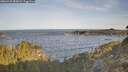 ./images/calvert/foggy-cove/20260425/foggy-cove20260425_080002M.jpg