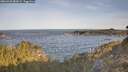 ./images/calvert/foggy-cove/20260425/foggy-cove20260425_080501M.jpg