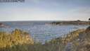 ./images/calvert/foggy-cove/20260425/foggy-cove20260425_081001M.jpg