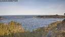 ./images/calvert/foggy-cove/20260425/foggy-cove20260425_081501M.jpg