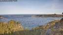 ./images/calvert/foggy-cove/20260425/foggy-cove20260425_082001M.jpg