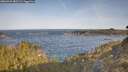 ./images/calvert/foggy-cove/20260425/foggy-cove20260425_082501M.jpg