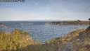 ./images/calvert/foggy-cove/20260425/foggy-cove20260425_083002M.jpg