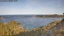 ./images/calvert/foggy-cove/20260425/foggy-cove20260425_083501M.jpg