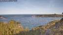 ./images/calvert/foggy-cove/20260425/foggy-cove20260425_084001M.jpg