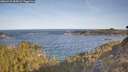 ./images/calvert/foggy-cove/20260425/foggy-cove20260425_084501M.jpg