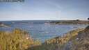 ./images/calvert/foggy-cove/20260425/foggy-cove20260425_085002M.jpg