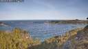 ./images/calvert/foggy-cove/20260425/foggy-cove20260425_085501M.jpg
