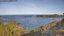 ./images/calvert/foggy-cove/20260425/foggy-cove20260425_090001M.jpg