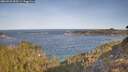 ./images/calvert/foggy-cove/20260425/foggy-cove20260425_090501M.jpg