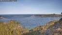 ./images/calvert/foggy-cove/20260425/foggy-cove20260425_091001M.jpg