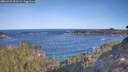 ./images/calvert/foggy-cove/20260425/foggy-cove20260425_091501M.jpg