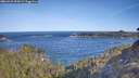 ./images/calvert/foggy-cove/20260425/foggy-cove20260425_092001M.jpg