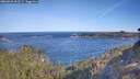 ./images/calvert/foggy-cove/20260425/foggy-cove20260425_092501M.jpg