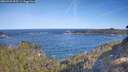 ./images/calvert/foggy-cove/20260425/foggy-cove20260425_093501M.jpg