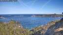 ./images/calvert/foggy-cove/20260425/foggy-cove20260425_094501M.jpg