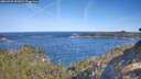 ./images/calvert/foggy-cove/20260425/foggy-cove20260425_095001M.jpg