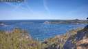 ./images/calvert/foggy-cove/20260425/foggy-cove20260425_095501M.jpg