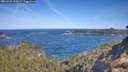 ./images/calvert/foggy-cove/20260425/foggy-cove20260425_100001M.jpg