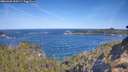 ./images/calvert/foggy-cove/20260425/foggy-cove20260425_100501M.jpg