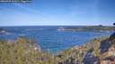 ./images/calvert/foggy-cove/20260425/foggy-cove20260425_101002M.jpg