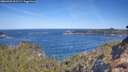 ./images/calvert/foggy-cove/20260425/foggy-cove20260425_101501M.jpg