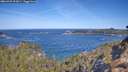 ./images/calvert/foggy-cove/20260425/foggy-cove20260425_102001M.jpg