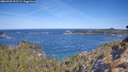 ./images/calvert/foggy-cove/20260425/foggy-cove20260425_102502M.jpg