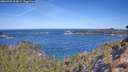 ./images/calvert/foggy-cove/20260425/foggy-cove20260425_103001M.jpg
