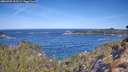 ./images/calvert/foggy-cove/20260425/foggy-cove20260425_103501M.jpg