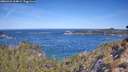 ./images/calvert/foggy-cove/20260425/foggy-cove20260425_104001M.jpg