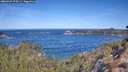 ./images/calvert/foggy-cove/20260425/foggy-cove20260425_104501M.jpg