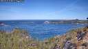 ./images/calvert/foggy-cove/20260425/foggy-cove20260425_105001M.jpg