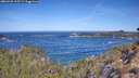 ./images/calvert/foggy-cove/20260425/foggy-cove20260425_105501M.jpg