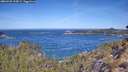 ./images/calvert/foggy-cove/20260425/foggy-cove20260425_110001M.jpg