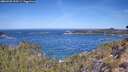 ./images/calvert/foggy-cove/20260425/foggy-cove20260425_110501M.jpg