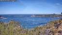 ./images/calvert/foggy-cove/20260425/foggy-cove20260425_111001M.jpg