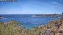 ./images/calvert/foggy-cove/20260425/foggy-cove20260425_111501M.jpg