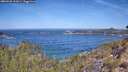 ./images/calvert/foggy-cove/20260425/foggy-cove20260425_112001M.jpg