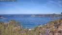 ./images/calvert/foggy-cove/20260425/foggy-cove20260425_112501M.jpg