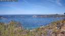 ./images/calvert/foggy-cove/20260425/foggy-cove20260425_113001M.jpg