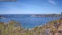 ./images/calvert/foggy-cove/20260425/foggy-cove20260425_113501M.jpg