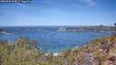 ./images/calvert/foggy-cove/20260425/foggy-cove20260425_114002M.jpg