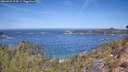 ./images/calvert/foggy-cove/20260425/foggy-cove20260425_114502M.jpg