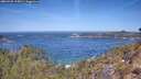 ./images/calvert/foggy-cove/20260425/foggy-cove20260425_115001M.jpg