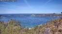 ./images/calvert/foggy-cove/20260425/foggy-cove20260425_115501M.jpg