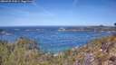 ./images/calvert/foggy-cove/20260425/foggy-cove20260425_120001M.jpg